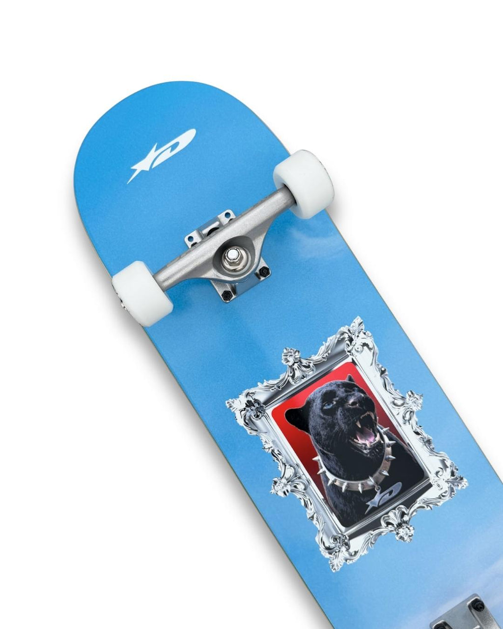DANKIES® PANTHER ENCADRÉ COMPLETE