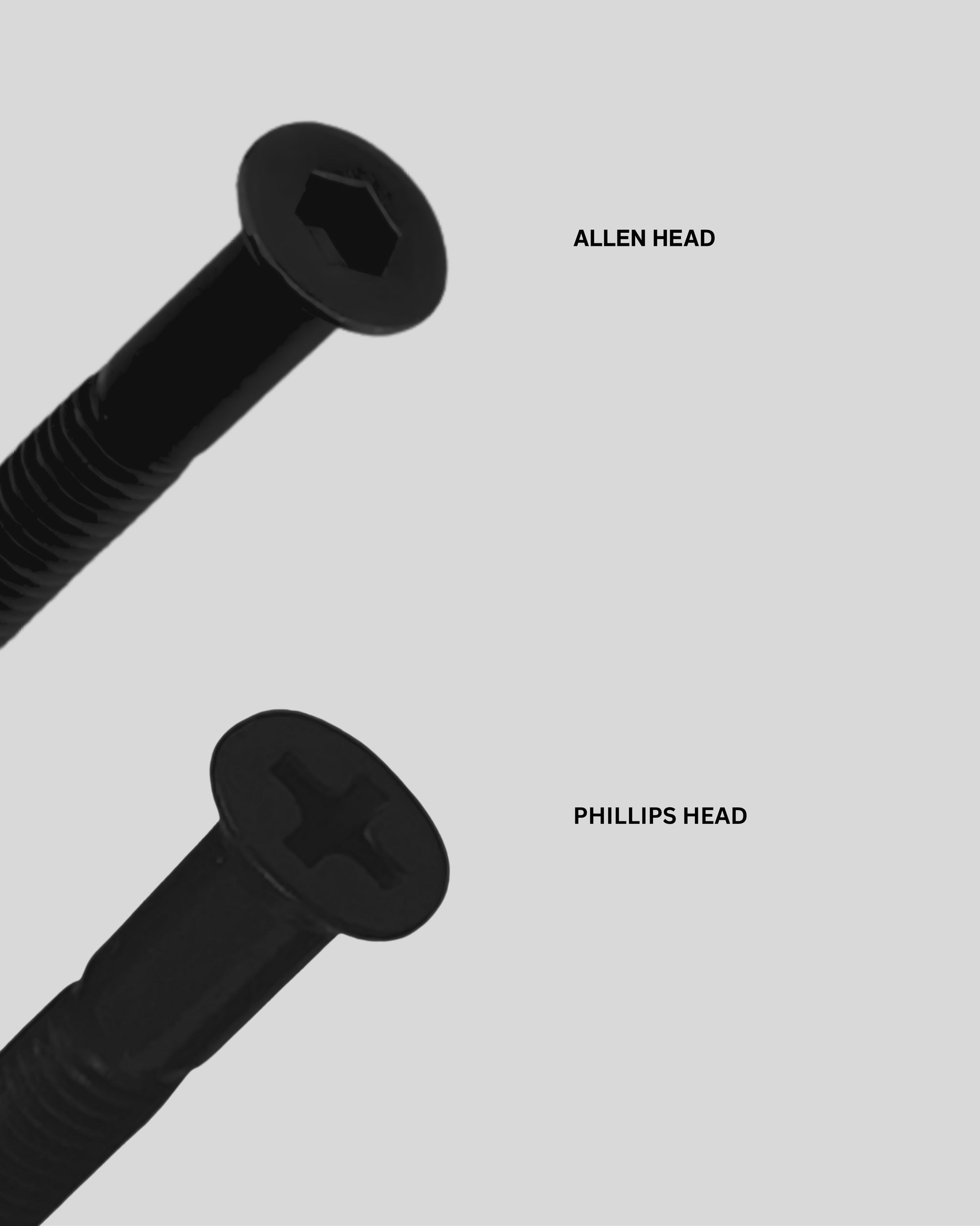 One skateboard screw with an allen head and another skateboard screw with a phillips head on a light gray background.
