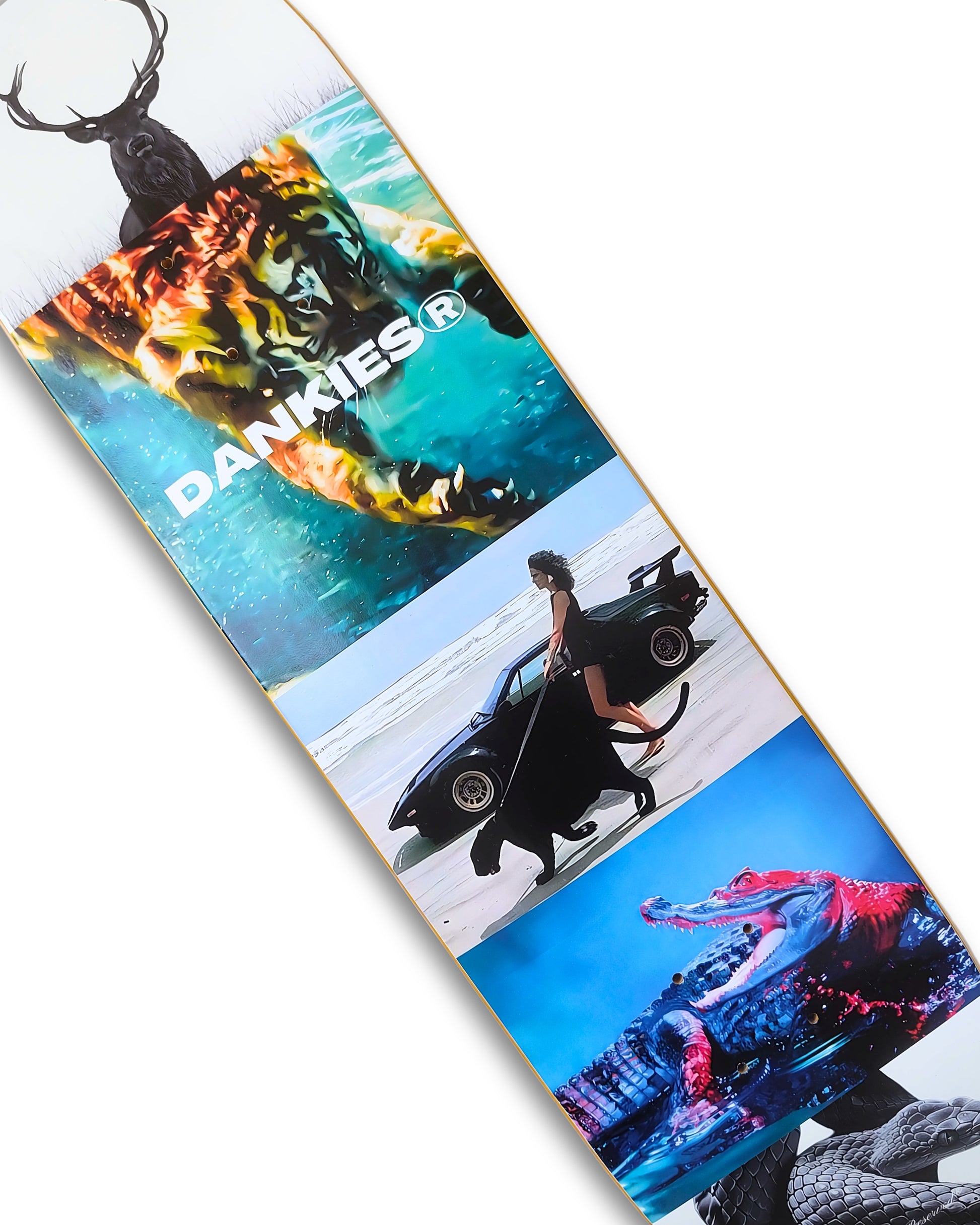 Untamed Deck